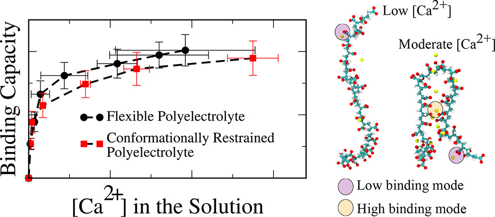 Ca²⁺ adsorption isotherm and binding free-energy landscape on poly(acrylic acid)