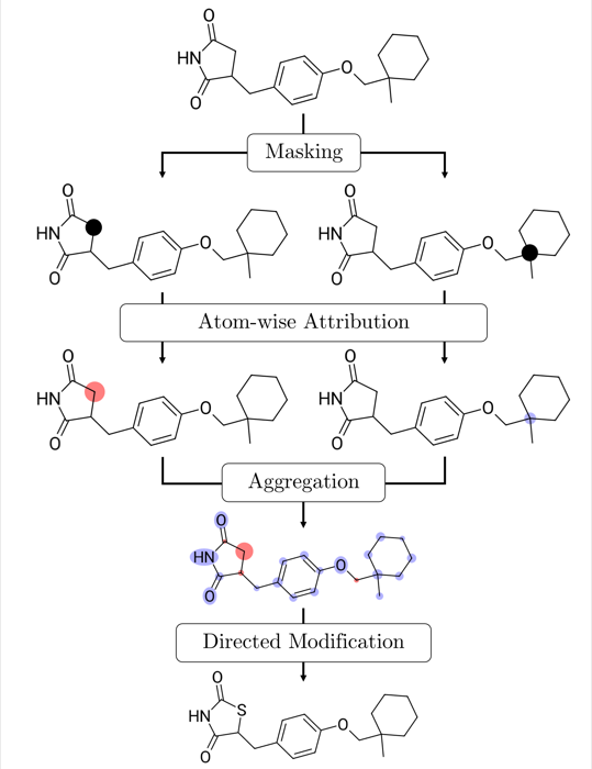 Overview of the attribution-guided genetic operator framework: masking, atom-wise attribution, aggregation, and directed modification